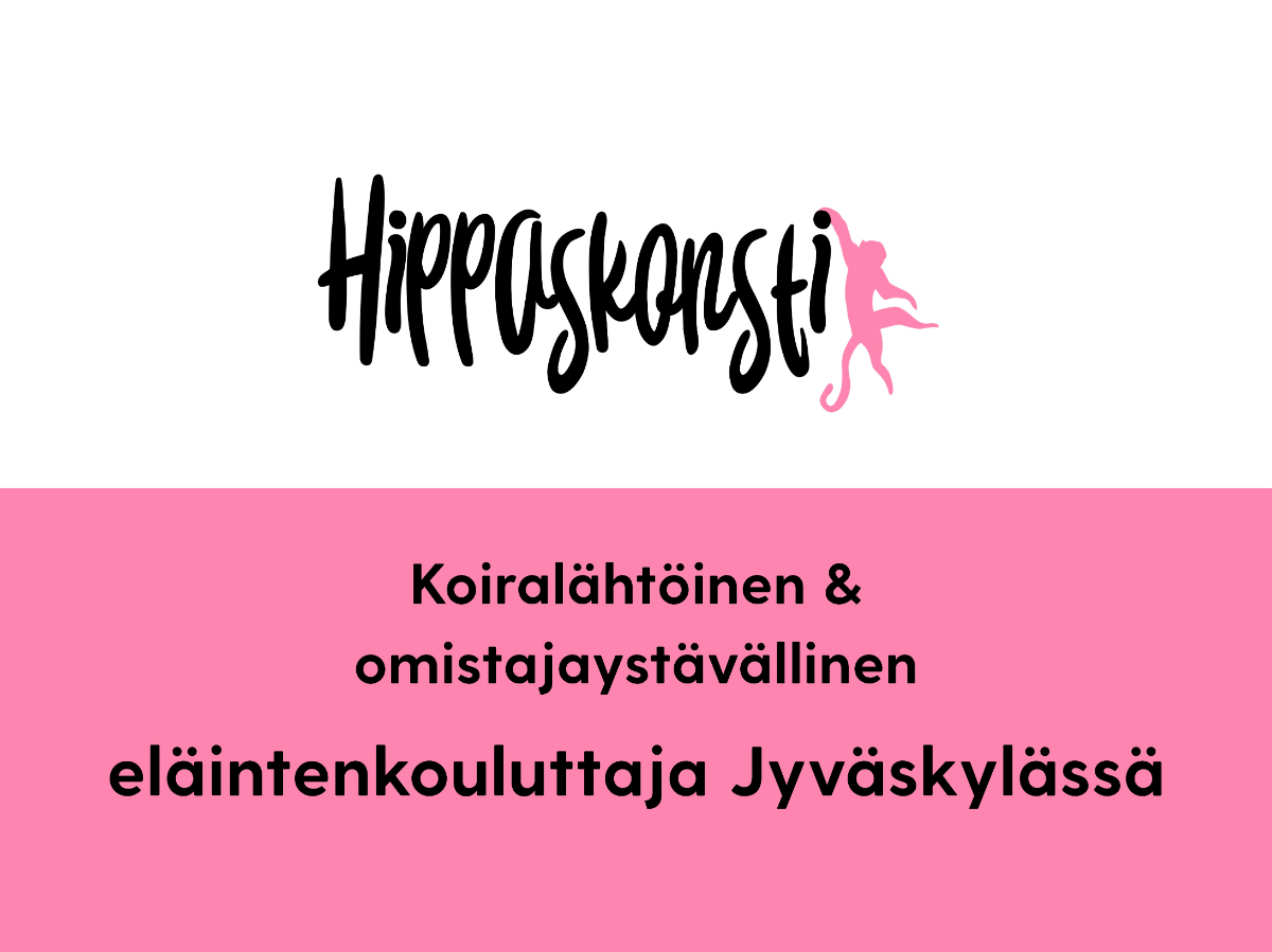 Koirankouluttaja Jyväskylässä: koira-arki kivaksi